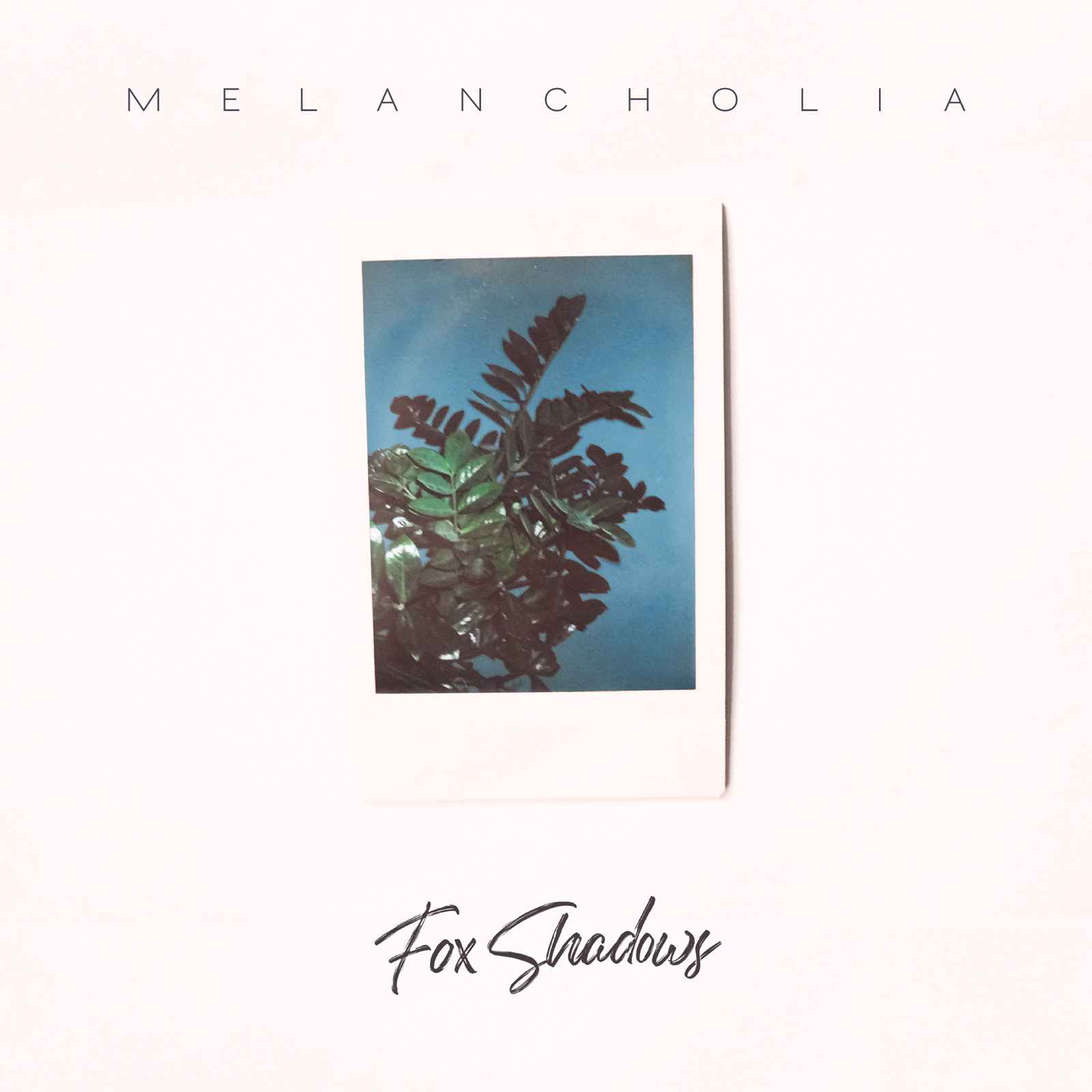 Fox Shadows - Melancholia on Vinyl out now!